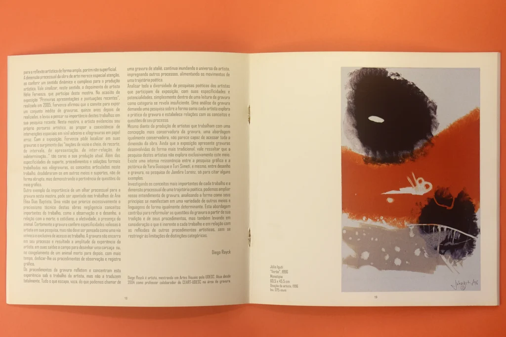 Catálogo aberto na página onde mostra a obra “Verão” de Julia Iguti